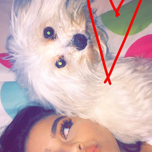 Meet your Posher, Corina - Picture 8 of 8