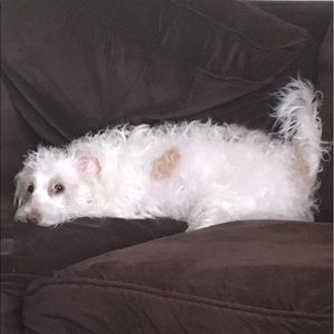 Meet your Posher, Jess