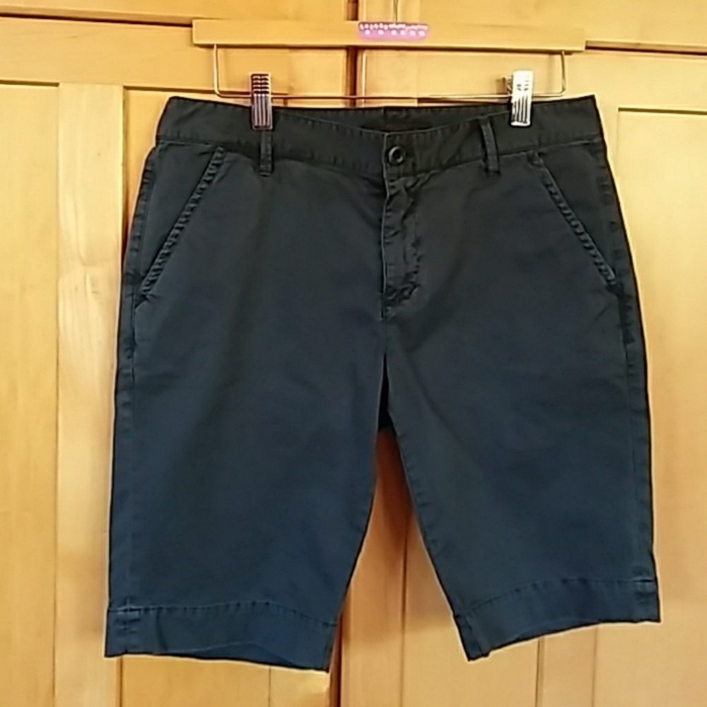 Fossil Bermudas