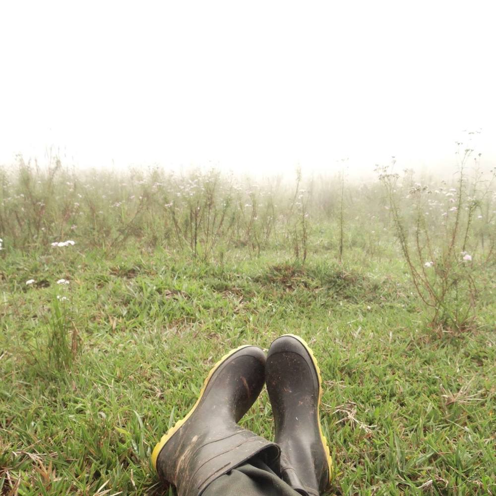 Meet your Posher, Liz