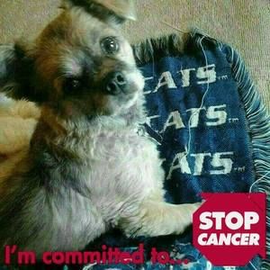 Meet your Posher, Rose