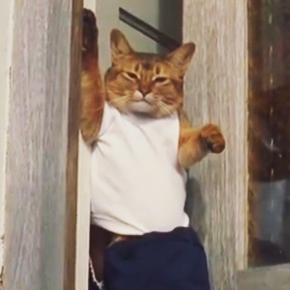 Meet your Posher, Becca