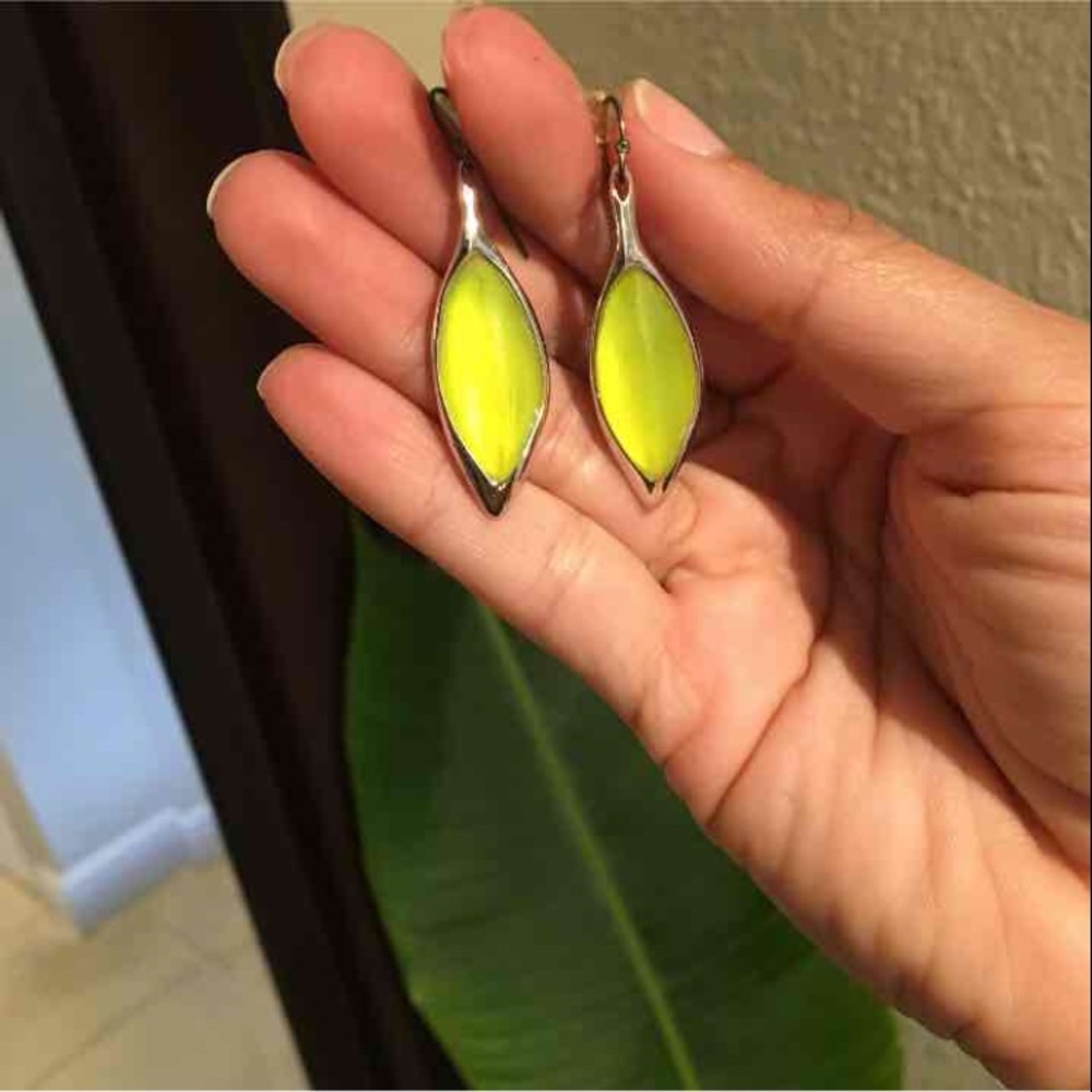 Alexis Bittar  Earrings