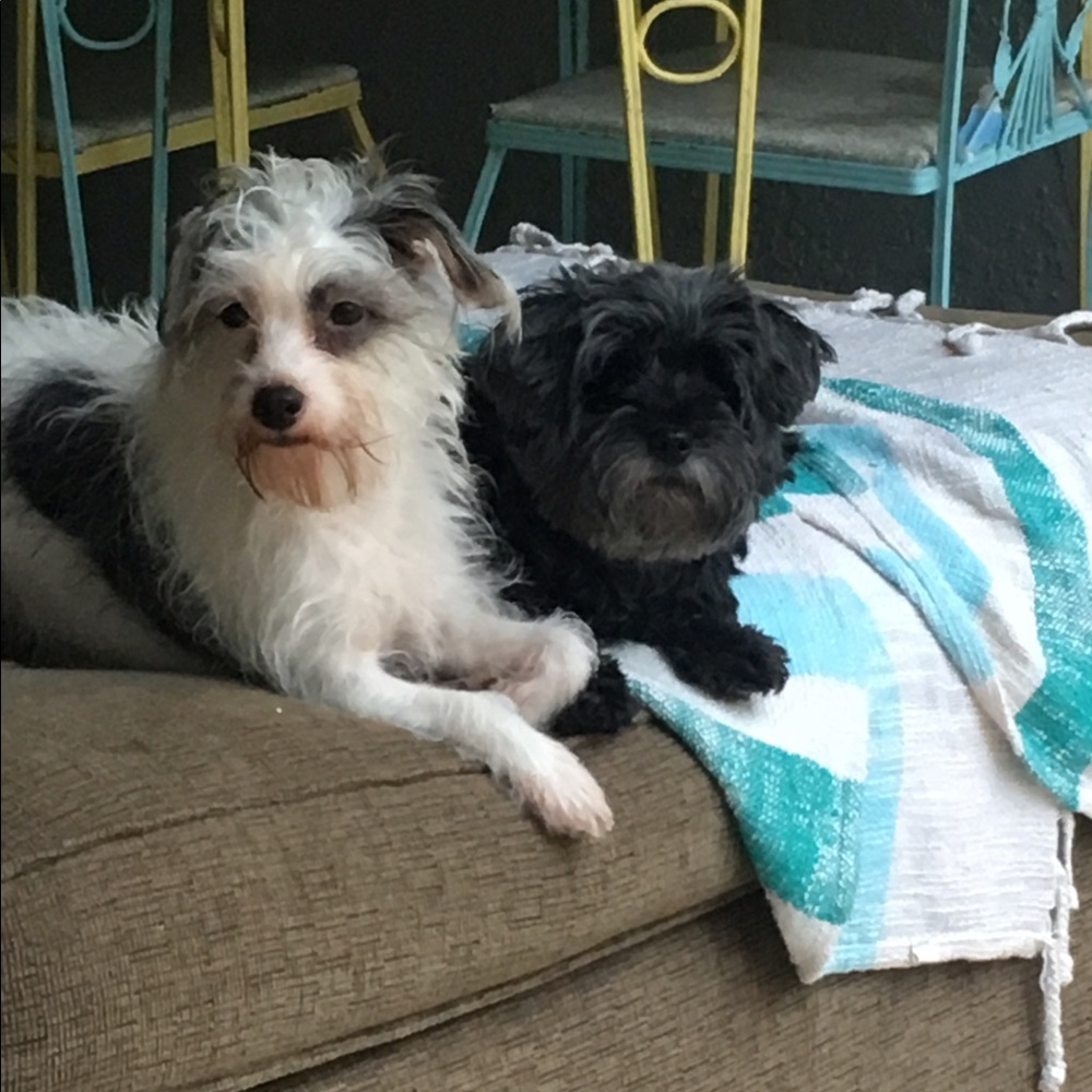 Meet your Posher, Sandy