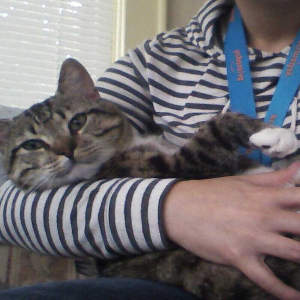 Meet your Posher, Skylar