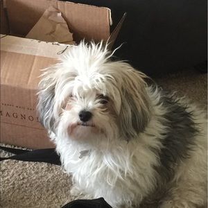 Meet your Posher, Susan