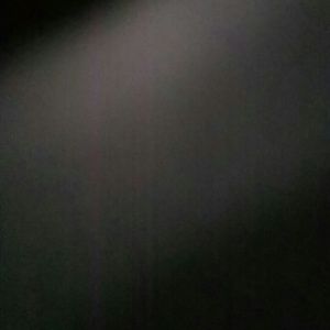 Meet your Posher, Celia