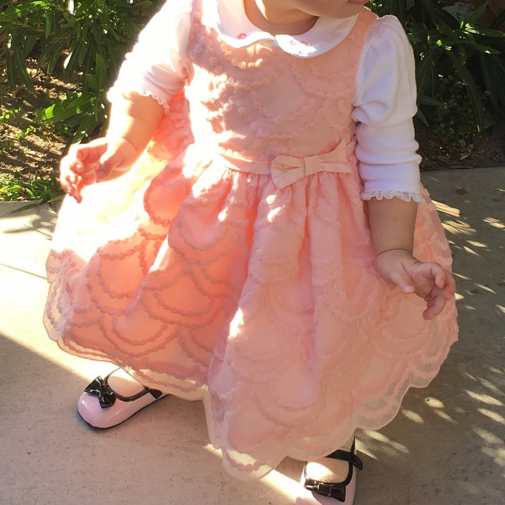 Embroidered Organza Dress (6-9mos)