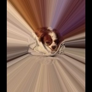 Meet your Posher, Vicki