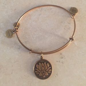 Alex & Ani Energy Bracelet