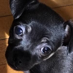 Meet your Posher, Tatiana