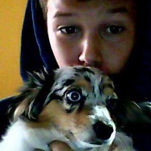 Meet your Posher, Vincent