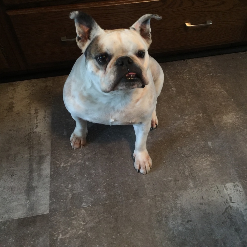 Meet your Posher, Anthony