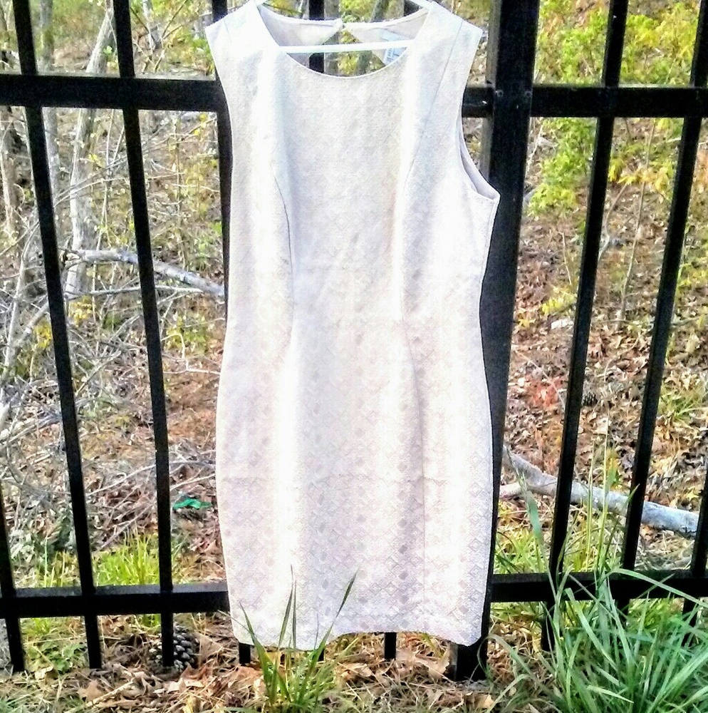 Beautiful professional dress