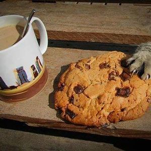 Meet your Posher, Lamar