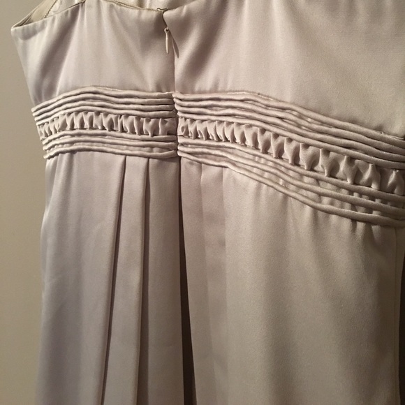 BCBG Champagne Cocktail Dress - Picture 4 of 6