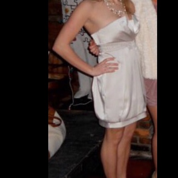 BCBG Champagne Cocktail Dress - Picture 6 of 6