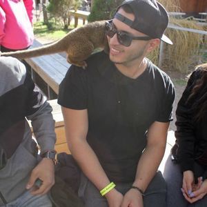 Meet your Posher, Luis a