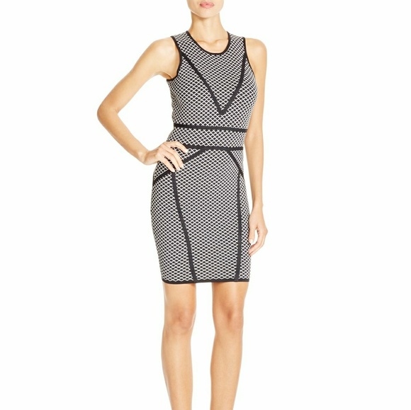 LUCY PARIS Dresses & Skirts - ✔SALE✔ 😍 LUCY PARIS BODY-CON DRESS