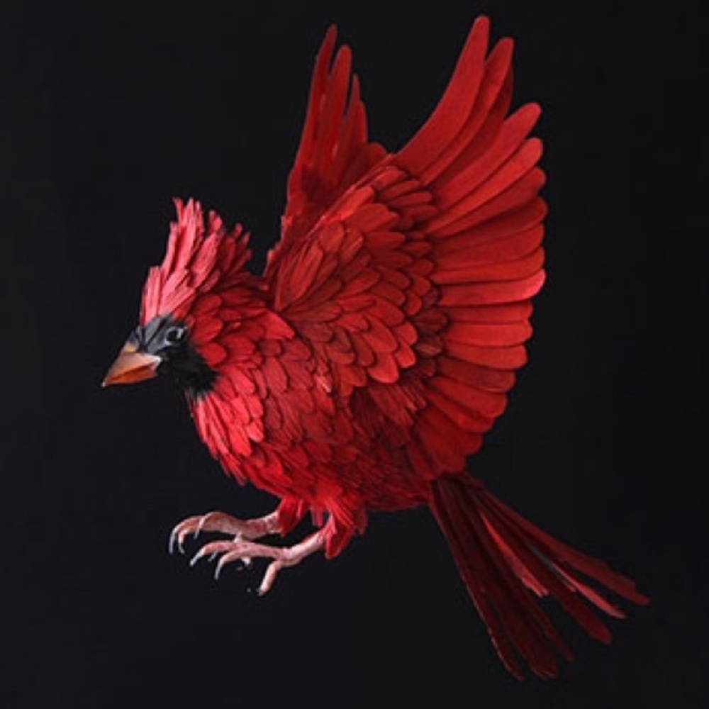 Meet your Posher, Chi