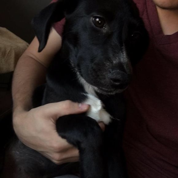 Meet your Posher, Austin - Picture 1 of 1