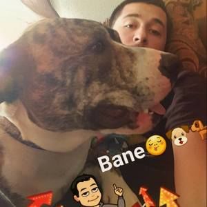 Meet your Posher, Alejandro