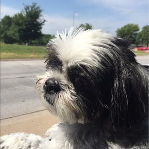 Meet your Posher, Nicole