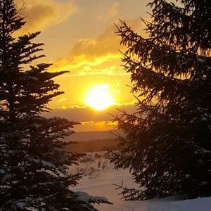 Meet your Posher, Leesa