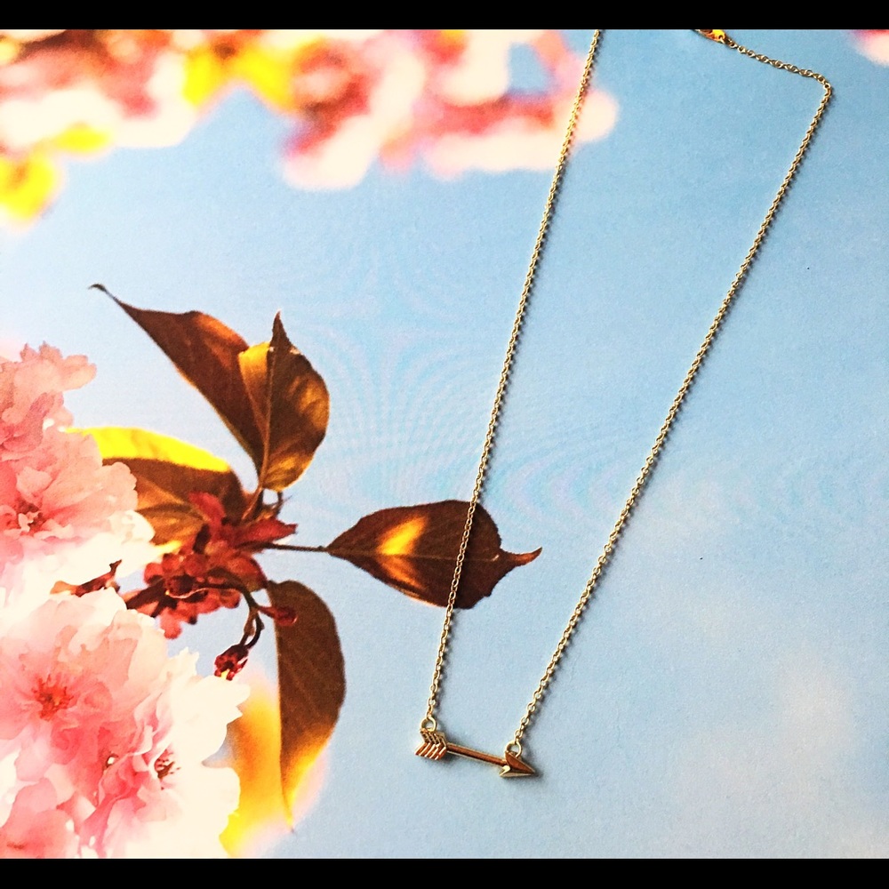 NWT ~ Dainty Lil Arrow Necklace