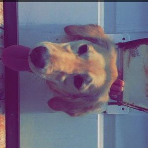 Meet your Posher, Linzy