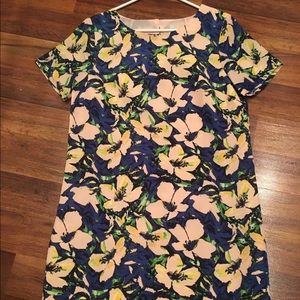 J Crew Shift Dress