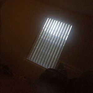 Meet your Posher, Maya