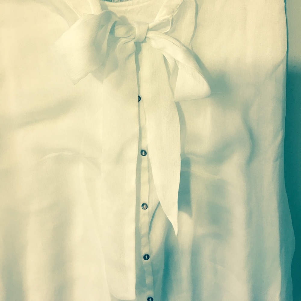 Sheer Spring Blouse - Picture 2 of 3