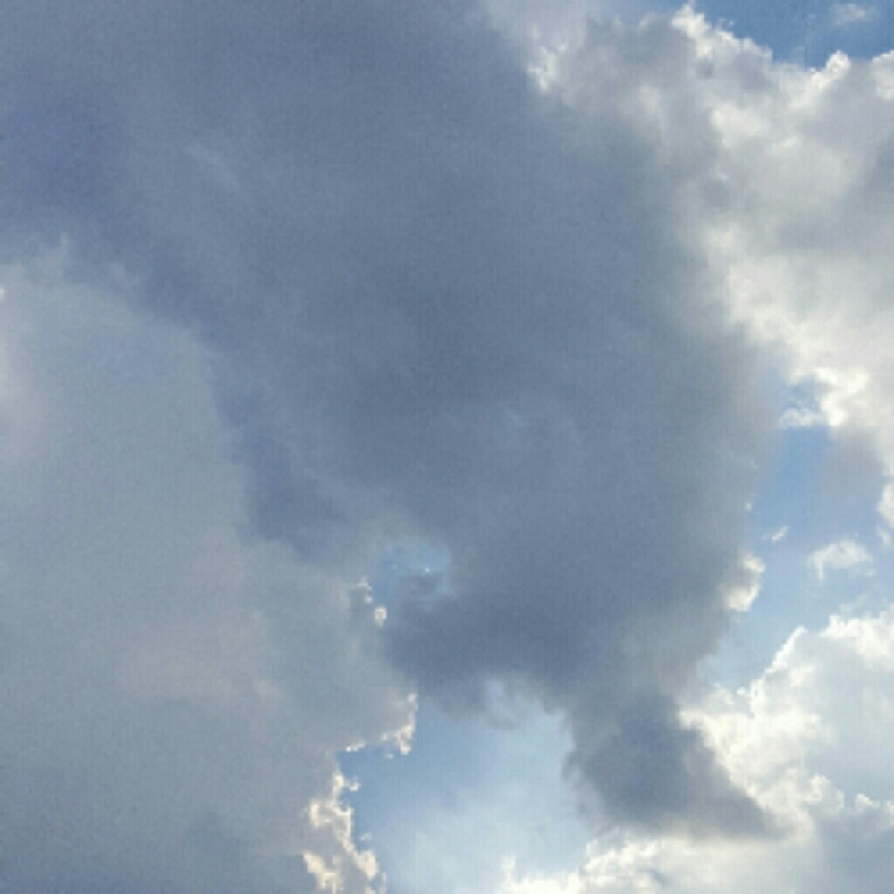 Meet your Posher, Likesarah