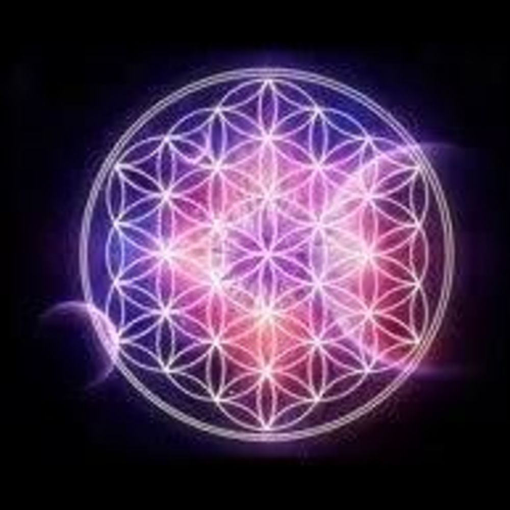 Meet your Posher, Beki