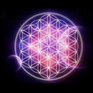 Meet your Posher, Beki