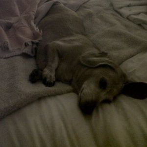 Meet your Posher, Rebecca