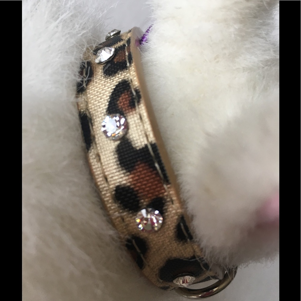 Collar Leopard & Rhinestones XS & Small