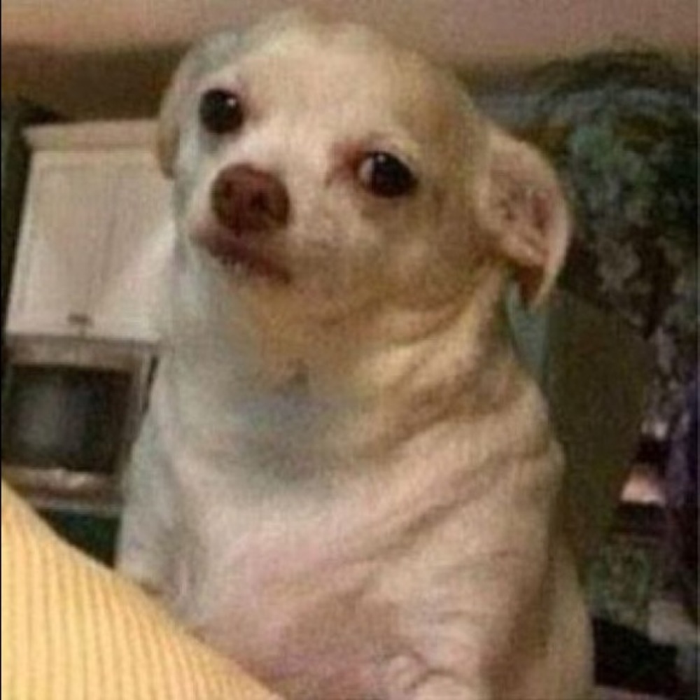 Meet your Posher, Ruben