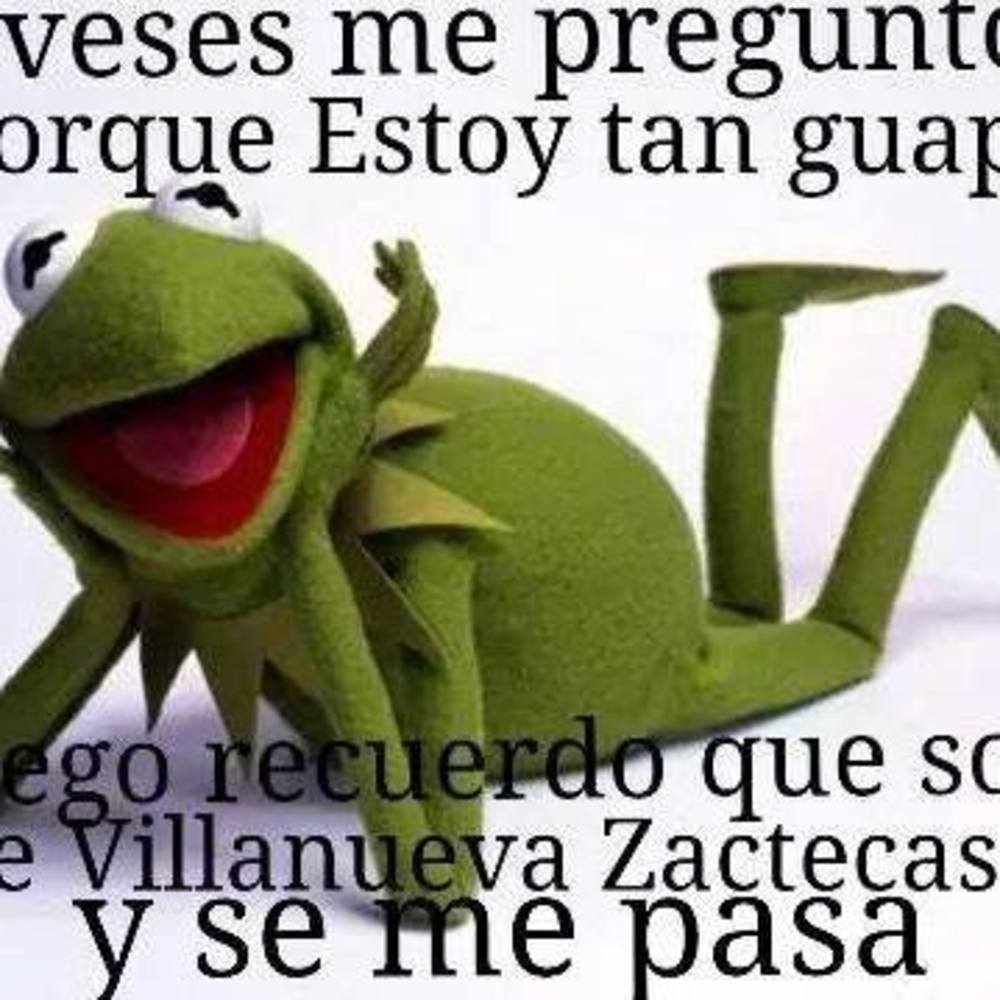 Meet your Posher, Rosy