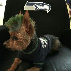 Meet your Posher, Kim