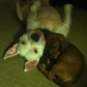 Meet your Posher, Nancy