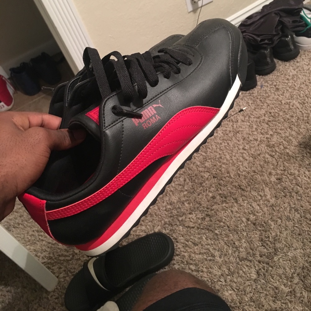 Pumas