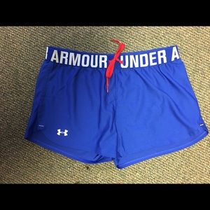 Under Armour Shorts (Medium)