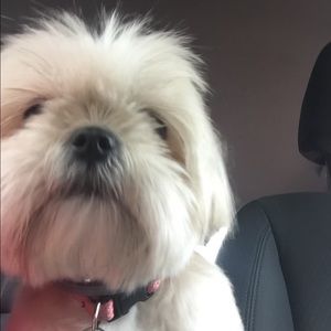 Meet your Posher, Andralene