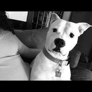 Meet your Posher, Donna