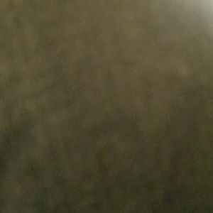 Meet your Posher, Noah