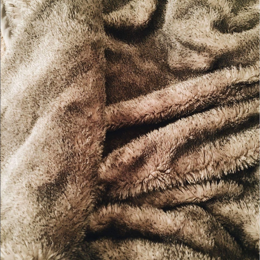 Pottery Barn blankets and Pillows