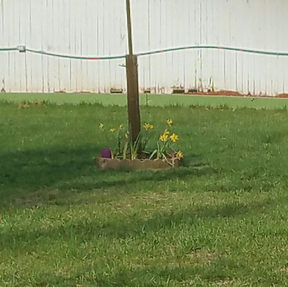 Meet your Posher, Teresa