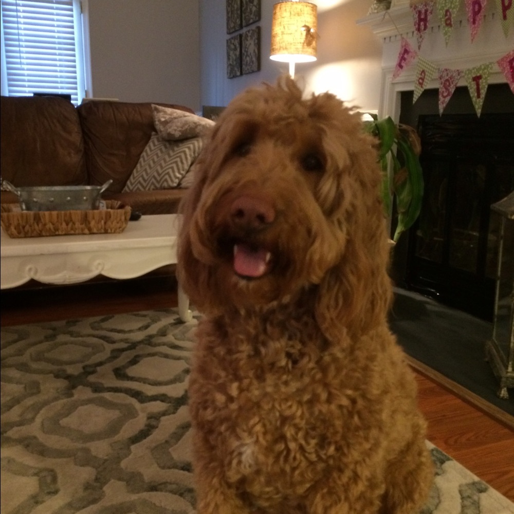 Meet your Posher, Courtney